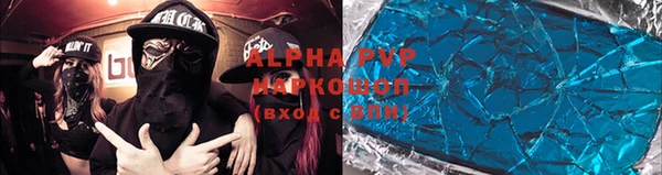 дмт Пересвет