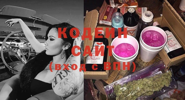 2c-b Пестово