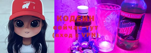 2c-b Пестово