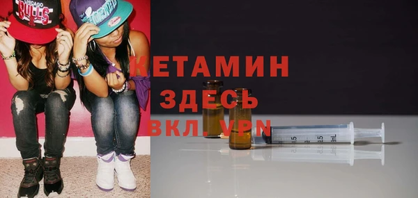 дмт Пересвет
