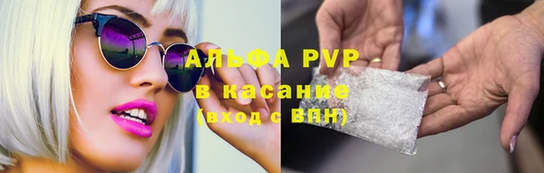 2c-b Пестово