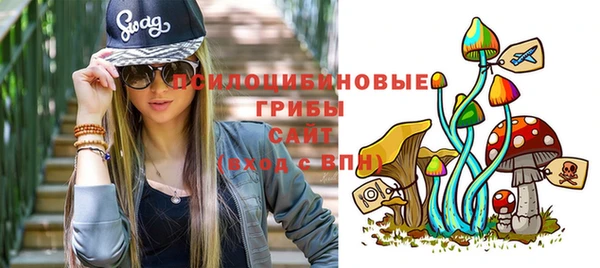 ешки Покачи