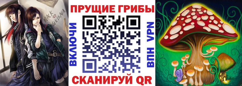 shop состав  Абаза  ссылка на мегу   Псилоцибиновые грибы прущие грибы  как найти закладки 